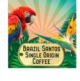 Brazil santos single origin coffee picctured with a bright parrot and tropical plants