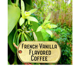 Frencch vanilla flavored coffee pictured with vanilla orchids and beans