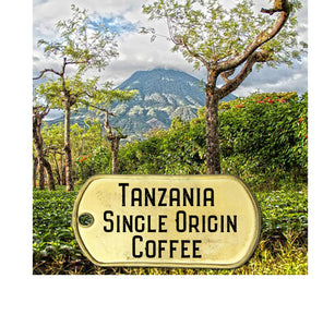 tanzania single origin coffee pictured on a coffee plantation with a mountain in the distance
